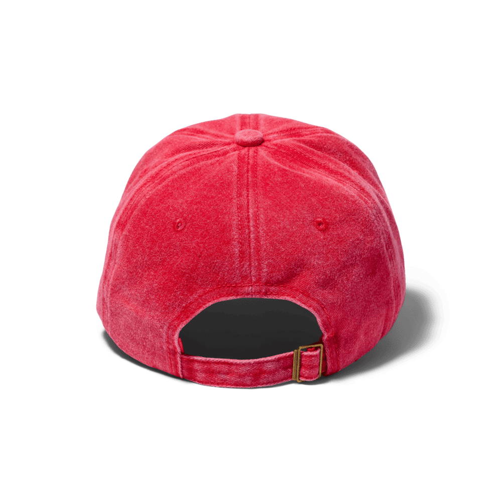 WORN Classic Cap