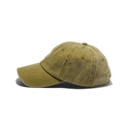 WORN Classic Cap